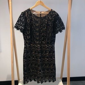NWT black Talbots Dress